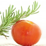 Rosemary Herb and Fresh Tomato