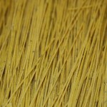 Picture of raw pasta