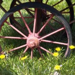 Wild flowers and wagon wheel