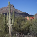 Arizona Desert Home Picture