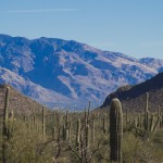 Pictures of Tucson pictures images royalty free