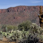 Pictures of Arizona Desert