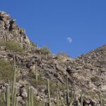 moon over the desert mountain
