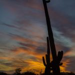 Pictures of arizona desert sky