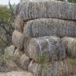 Bales of hay desert archery pictures
