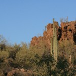 Desert Rocks and Sahuaro Cactus Picture