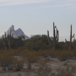 desert saguaro arizona mountains