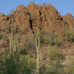 Arizona Desert Microstock Royalty Free