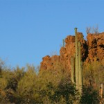 Tucson Arizona Sahuaro Monument Desert